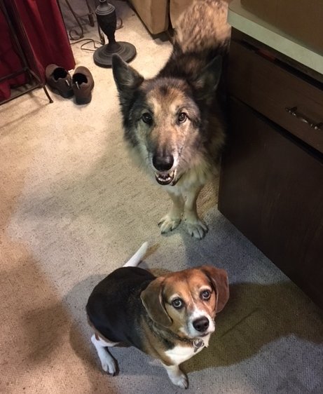 the boys.jpg