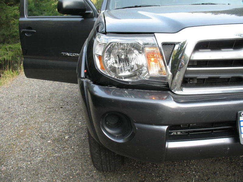 The Day the Deer Hit my truck 006.jpg