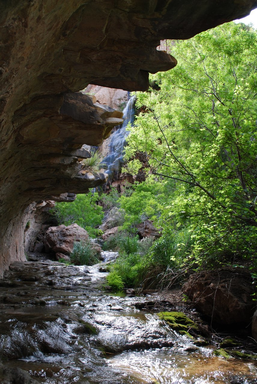 the-falls.jpg