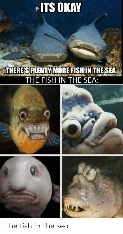 the-fish-in-the-sea-72567097.jpg
