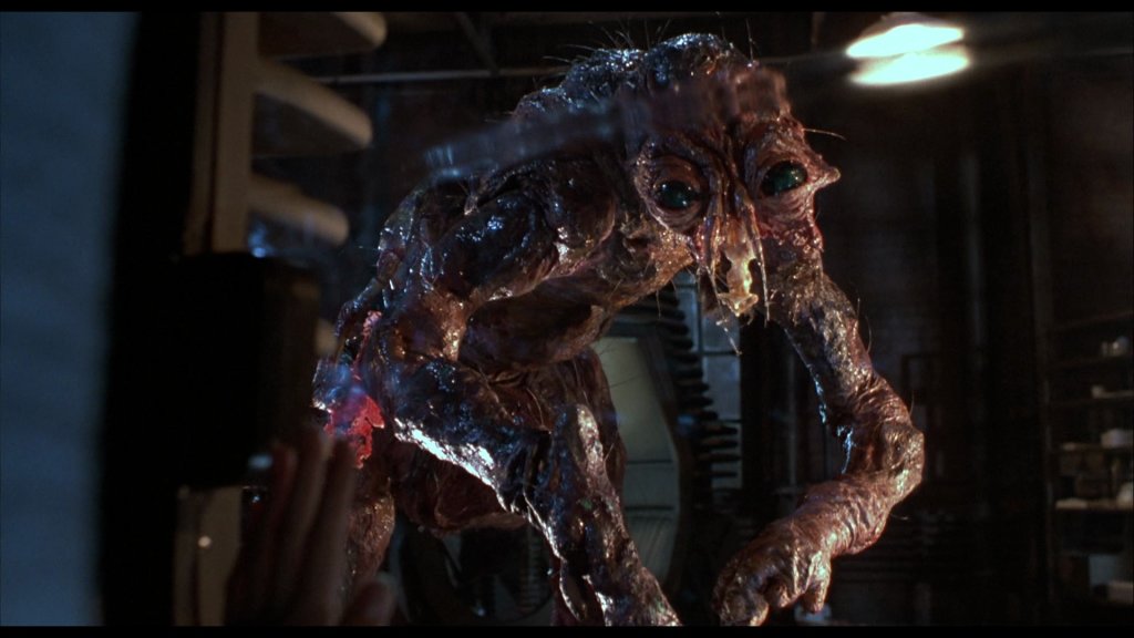 the-fly-blu-ray-08_zpsjobtno9l_a7975c814f641d94cdc798dc66e0d3743fef7b98.jpg