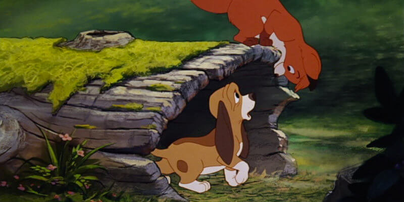 the-fox-and-the-hound-800x400.jpg