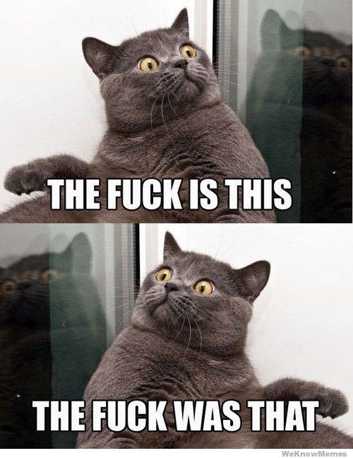 the-fuck-2058313346.jpg