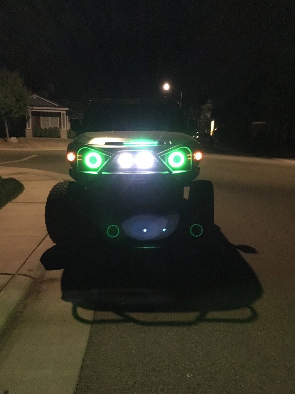 The Green FJ (135).jpg