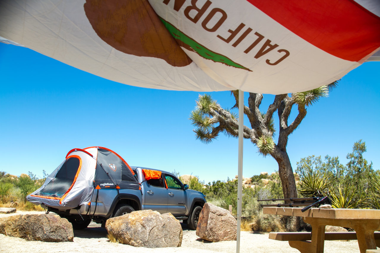 The Joshua Tree-1-10.jpg
