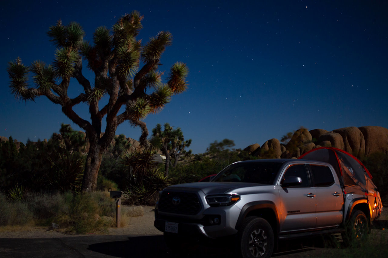 The Joshua Tree-1-3.jpg