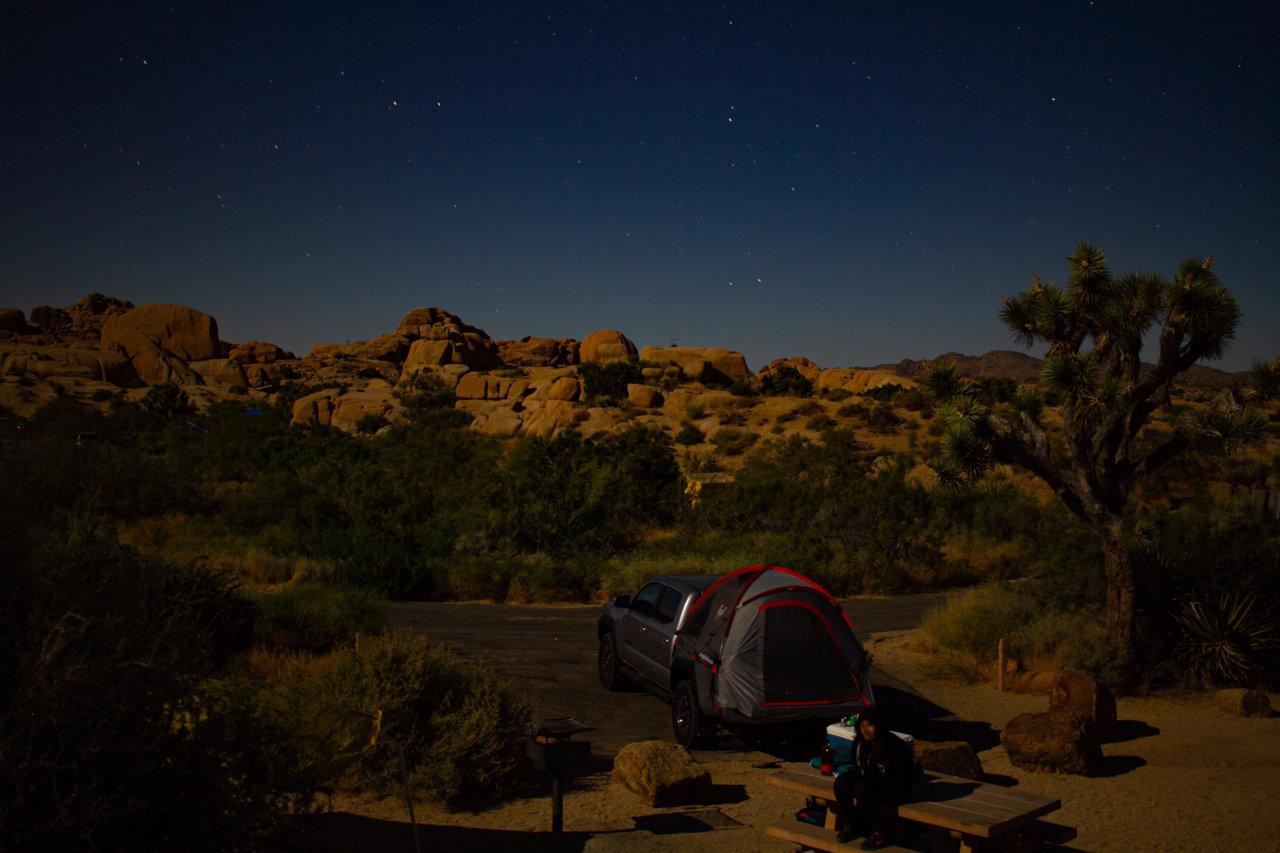 The Joshua Tree-1-5.jpg