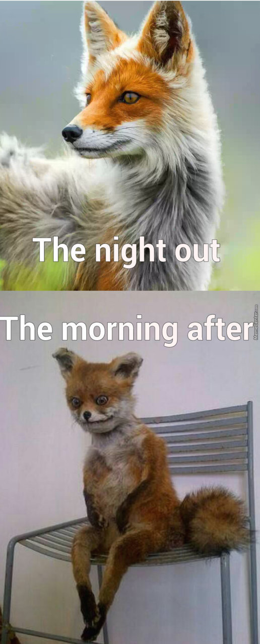 the-night-out-vs-the-morning-after_o_3921789.jpg