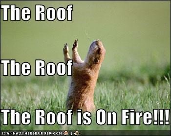 the-roof-the-roof-the-roof-is-on-fire.jpg