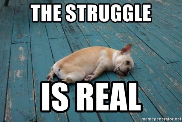 Being really. Struggle is real. Struggle is real meme. Struggling meme.