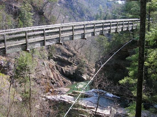 the-suspension-bridge.jpg