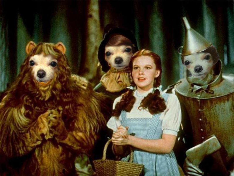 the-wizard-of-oz1.jpg