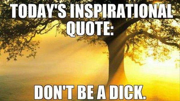 TheChive200409127795.jpg