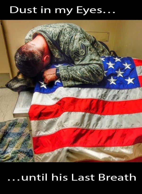 TheChive31234719553.jpg