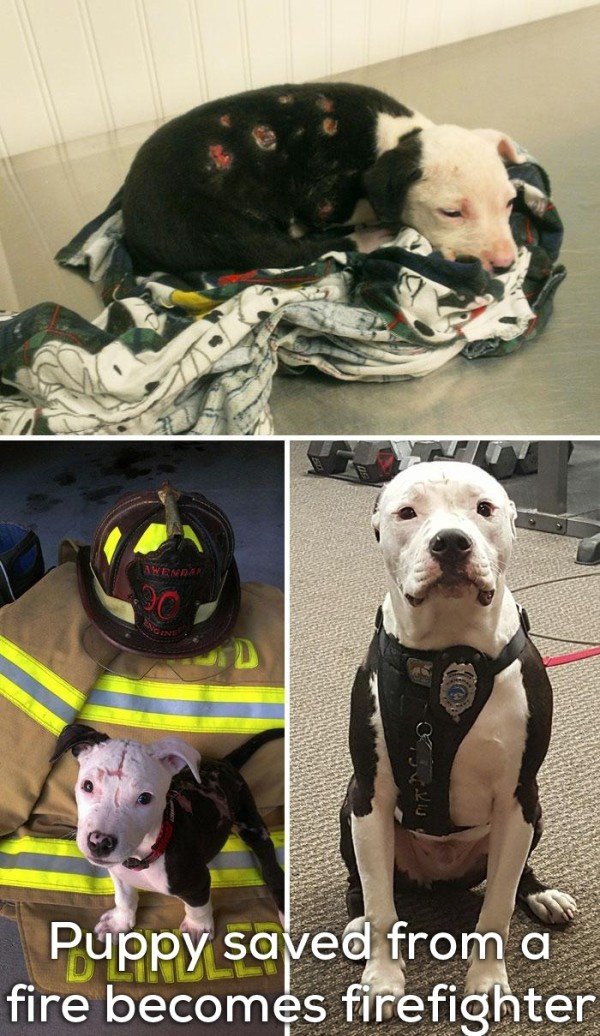 TheChive349382823371.jpg