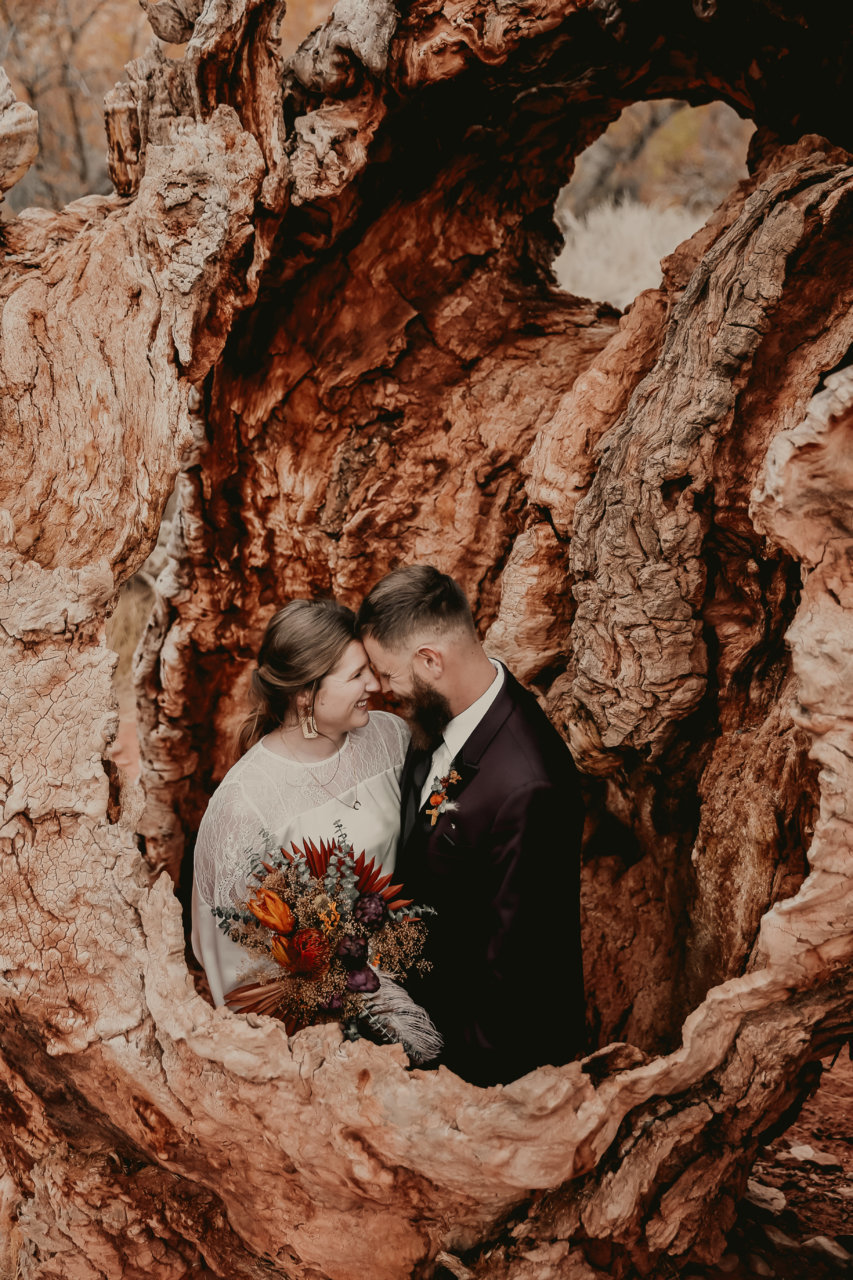TheLightSeeker-StGeorge-Wedding-RedCliffs-RedReef-Derek-Alyson-205.jpg
