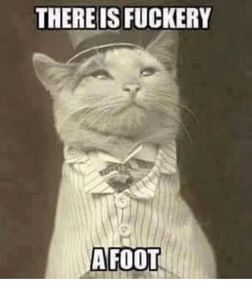 there-is-fuckery-a-foot-21712914.jpg