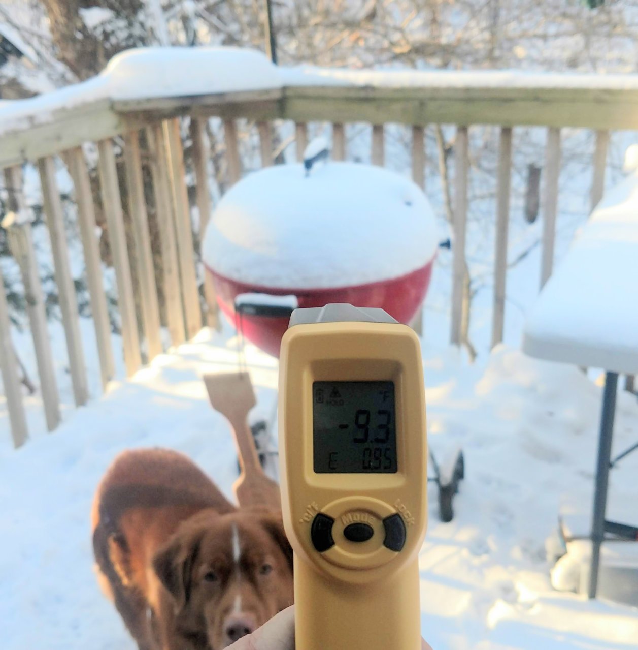 thermoworks.jpg