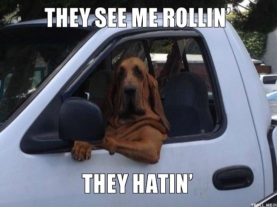 they-see-me-rollin-they-hatin.jpg