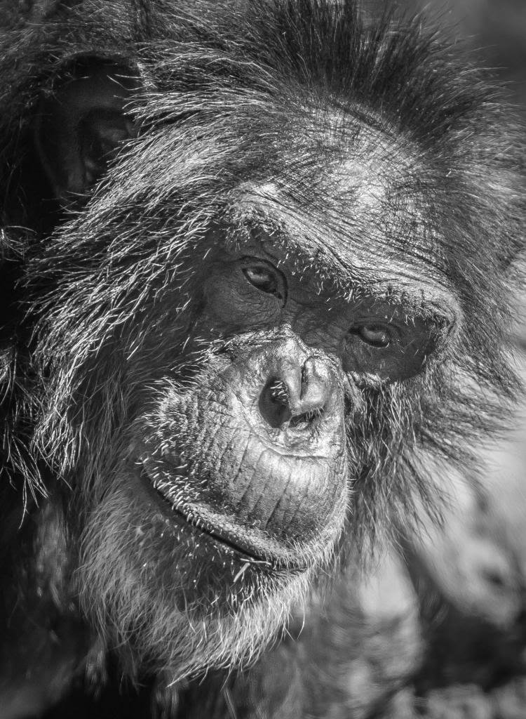 Thezoo-54_zps0bf505eb_69b38fca55cec205b5d2f026e95f65d1b52da129.jpg