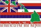 thhayn_flag_9106e064c1114b9fd534bc5c536095db8c26970c.jpg