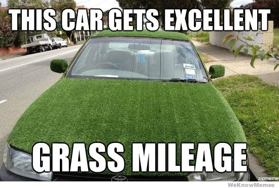 this-car-gets-excellent-grass-mileage.jpg