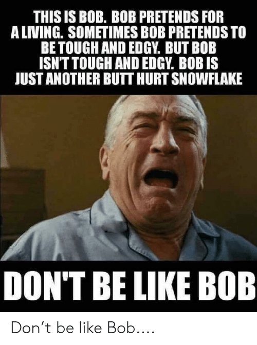 this-is-b0b-bob-pretends-for-a-living-sometimes-bob-48719474.jpg