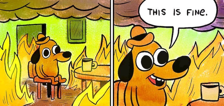 this is fine.jpg