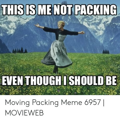 this-is-me-not-packing-even-thoughishould-be-moving-packing-50179862.jpg