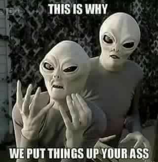 This is why we put things up your ass.jpg