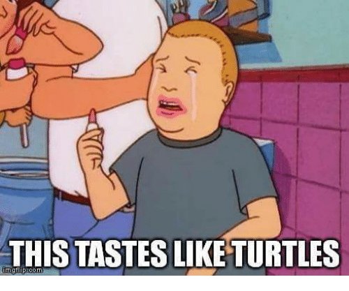 this-tastes-like-turtles-gtilip-com-19312462.jpg
