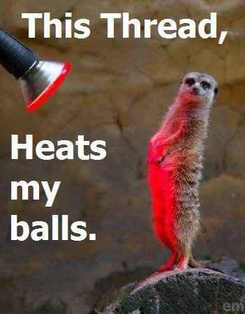 this-thread-heats-my-balls_f8f4b57dea59b8db814b7f49d8fa686cc24b2b91.jpg