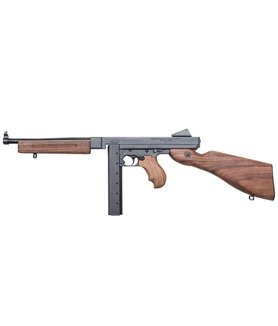 Thompson SBR.jpg
