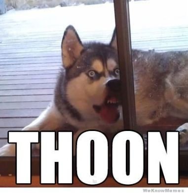thoon-dog.jpg