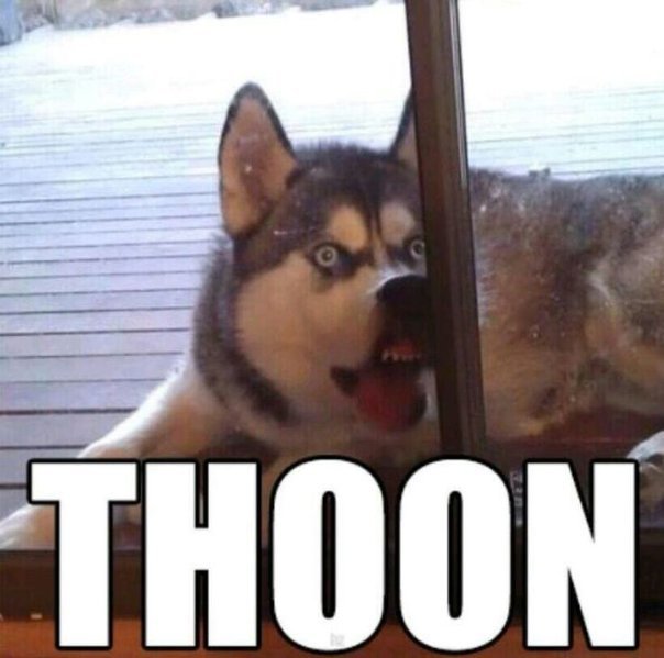 THOON.jpg