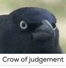 thRDWT33Z3.jpg