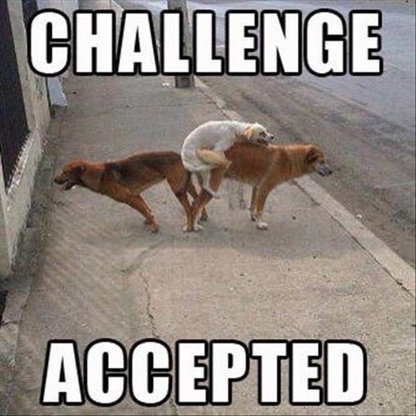 three-hump.jpg