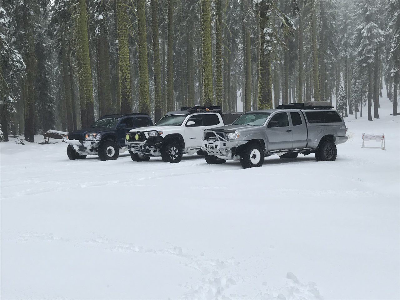 three tacos.jpg