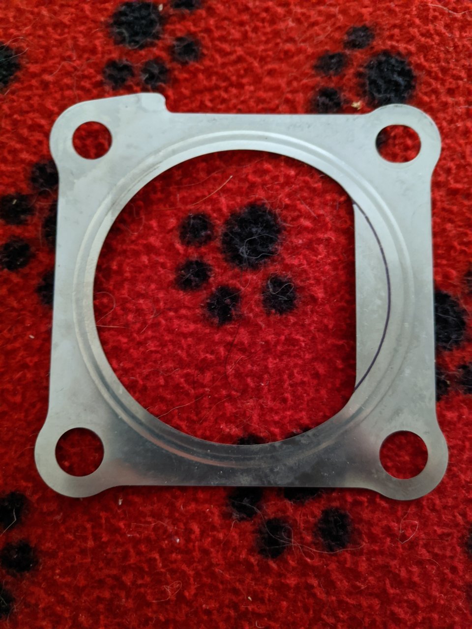 throttle body gasket (original).jpg