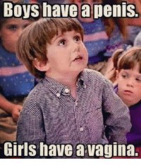 thumb_boys-have-a-penis-girls-have-a-vagina-13541756.jpg