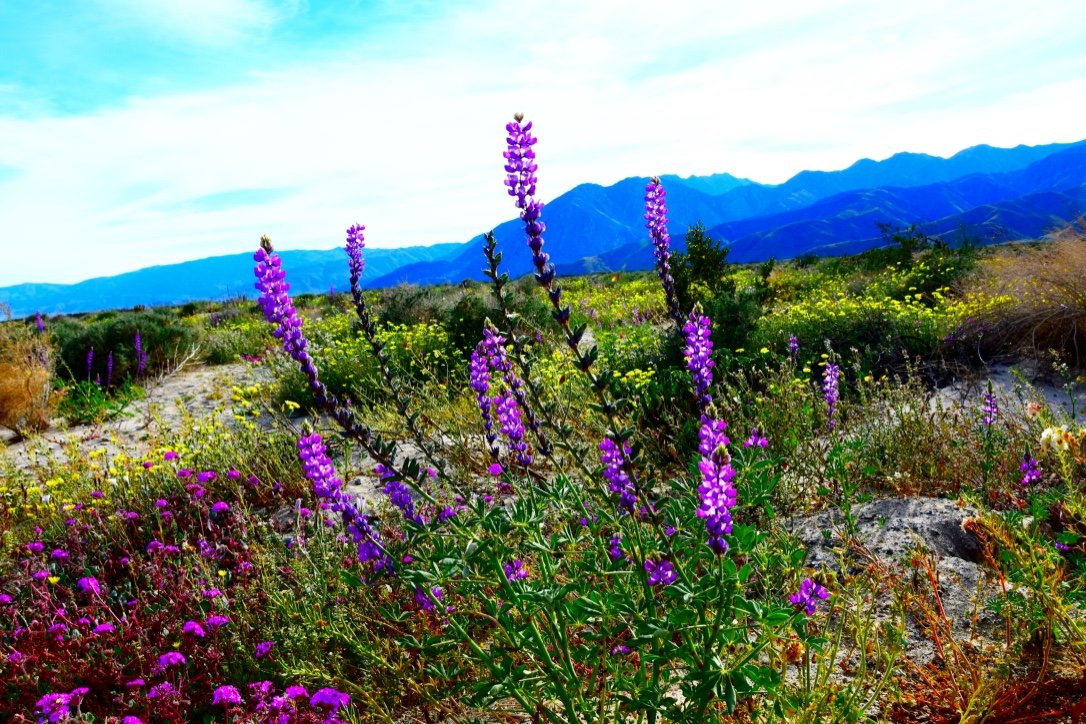 thumb_DSC_0320_1024.jpg