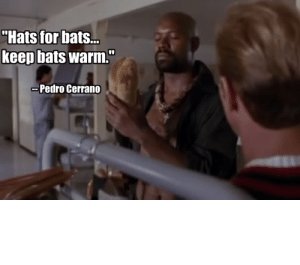 thumb_hats-for-bats-keep-bats-warm-pedro-cerrano-what-is-51957974.jpg