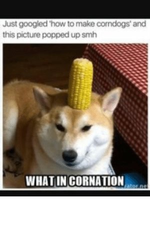 thumb_just-googled-how-to-make-corndogs-and-this-picture-popped-49017297.jpg