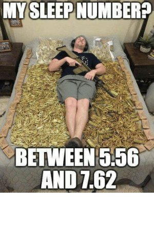 thumb_mysleep-numbera-between-556-and-762-sleep-number-guns-53051994.jpg