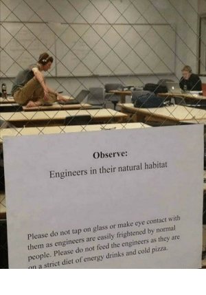 thumb_observe-engineers-in-their-natural-habitat-please-do-not-tap-64529697.jpg