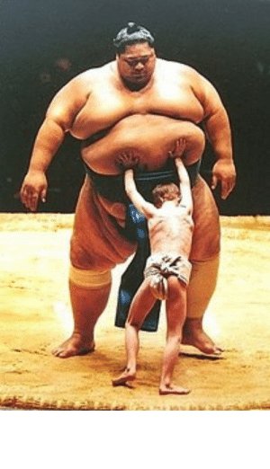 thumb_sumo-wrestlers-big-guy-vs-small-guy-71790961.jpg