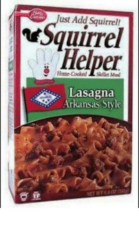 thumb_ust-add-squirrel-helper-lasagna-arkansas-style-meanwhile-in-arkansas-19602715.jpg