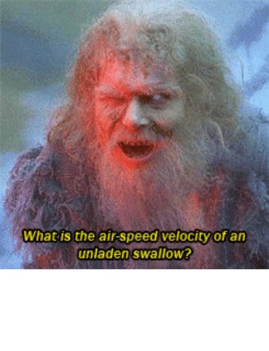 thumb_what-is-the-air-speed-velocityof-an-unladen-swallow-graham-chapman-48923498.jpg