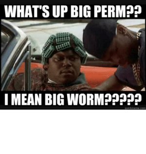 thumb_whats-up-big-perm-mean-big-worm-p-quickmeme-com-whats-up-52124712.jpg