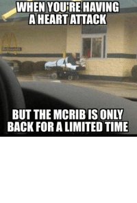 thumb_when-youtre-having-aheartattack-back-foralimited-time-mcdonalds-mcrib-ems-21045075.jpg
